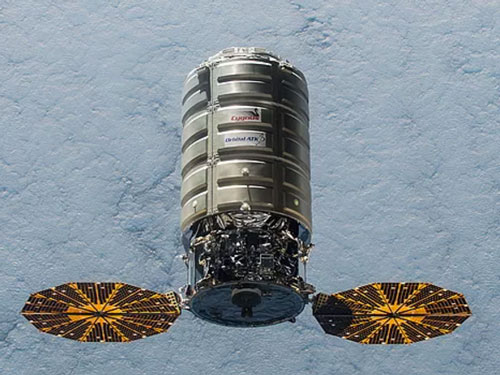 Cygnus